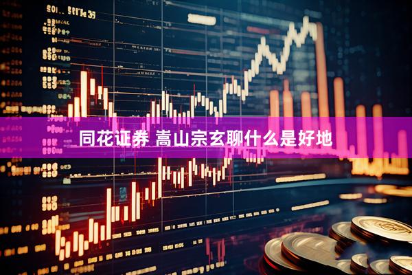同花证券 嵩山宗玄聊什么是好地