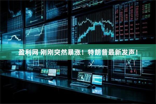 盈利网 刚刚突然暴涨！特朗普最新发声！