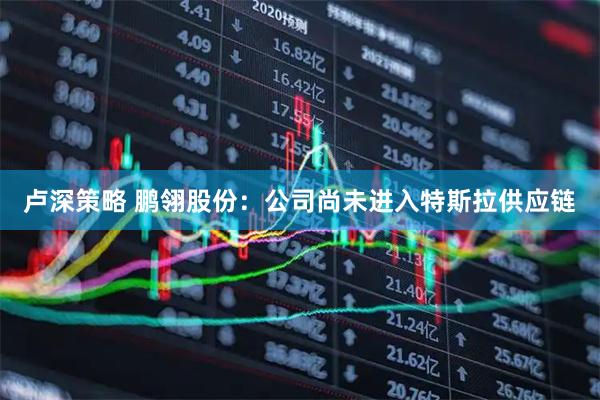 卢深策略 鹏翎股份：公司尚未进入特斯拉供应链