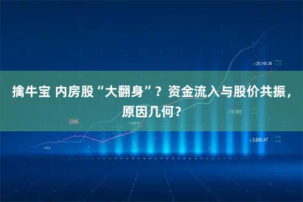 擒牛宝 内房股“大翻身”？资金流入与股价共振，原因几何？