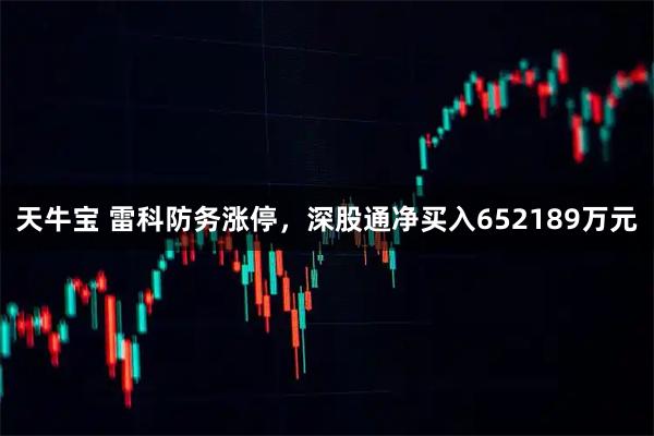 天牛宝 雷科防务涨停，深股通净买入652189万元